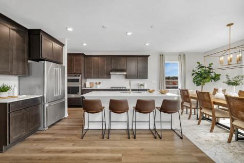 1242 Tiger Lily Drive Bartlett IL 60103