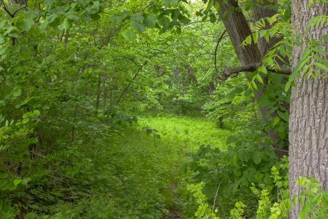 698 North 2853rd Road Lasalle IL 61301