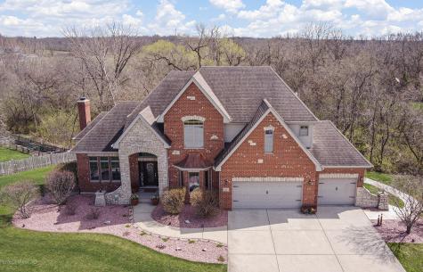 21163 South Wooded Cove Drive Elwood IL 60421