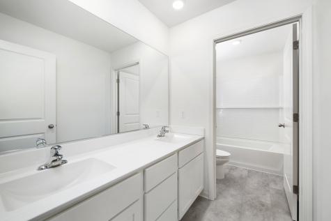 2906 Savana Drive Joliet IL 60435