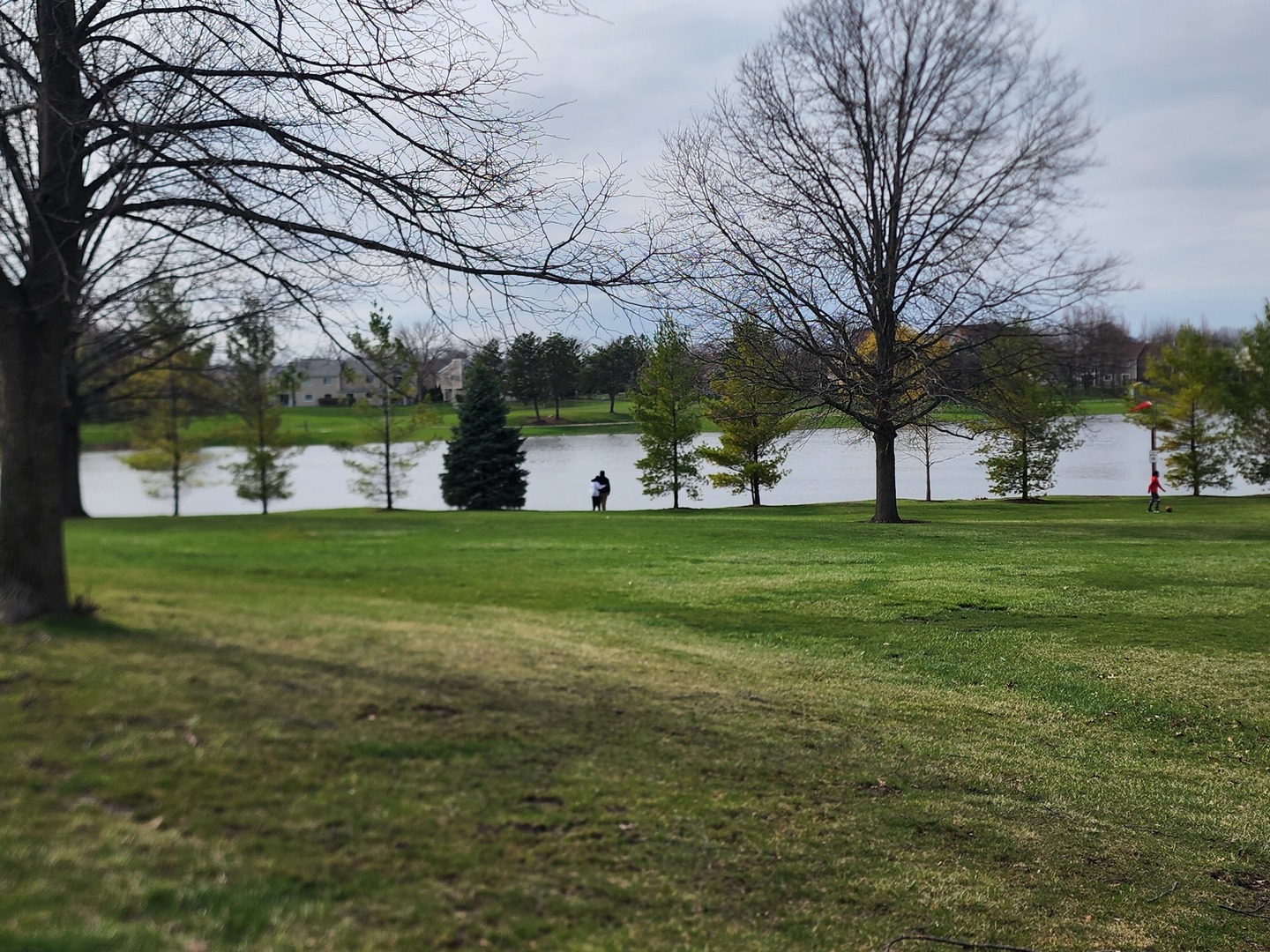 2011 Farnham Court Schaumburg IL 60194