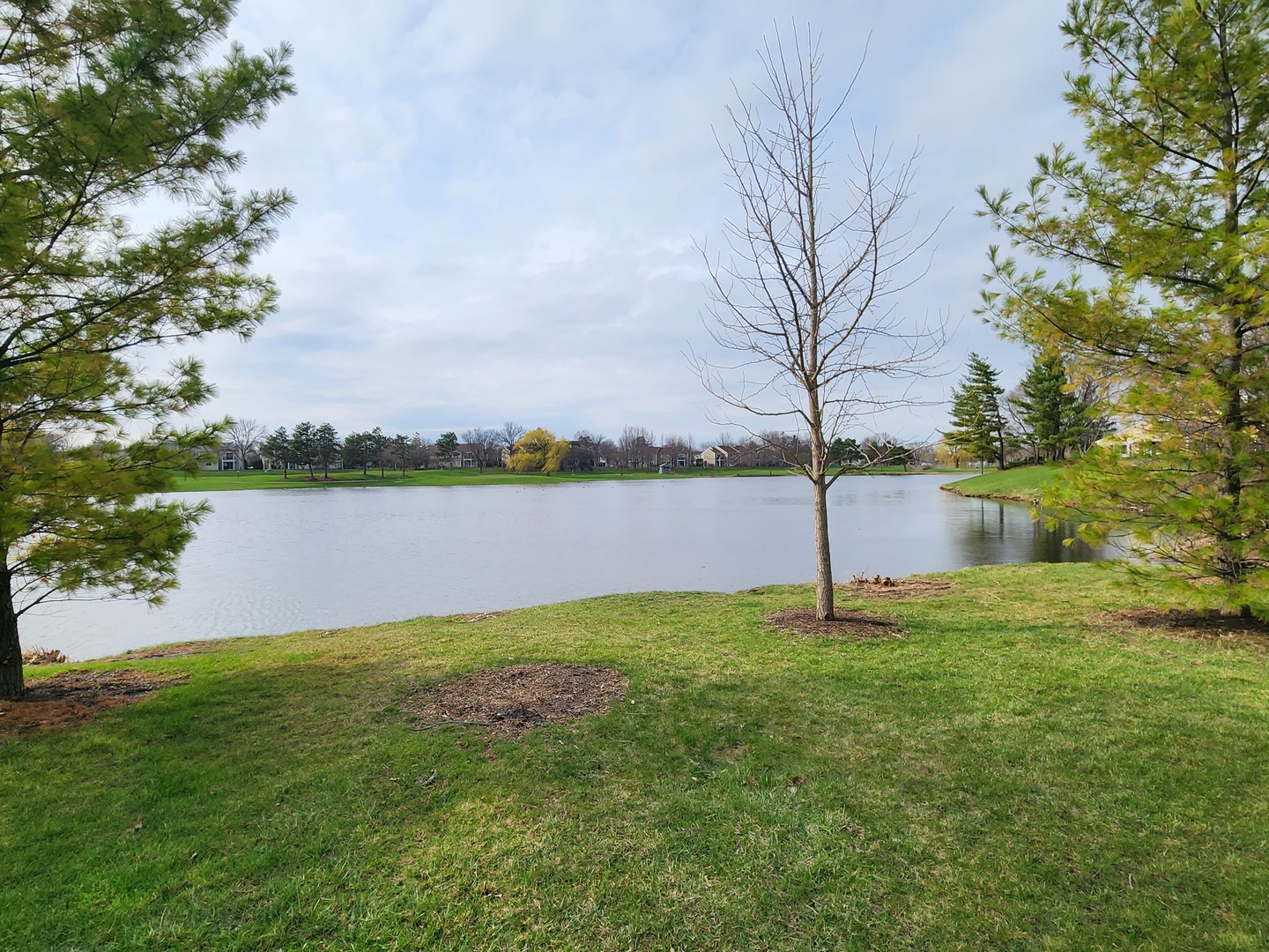 2011 Farnham Court Schaumburg IL 60194