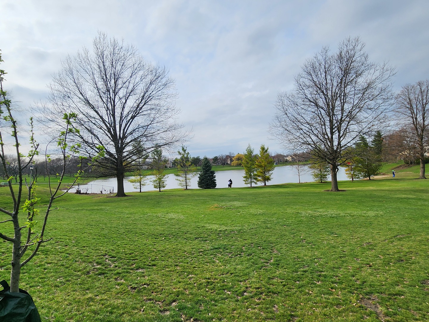 2011 Farnham Court Schaumburg IL 60194