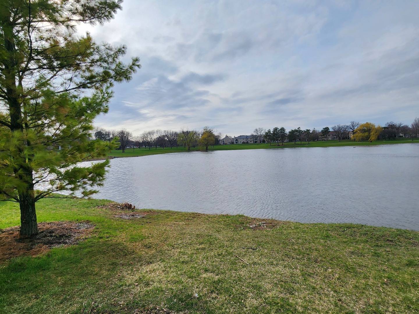 2011 Farnham Court Schaumburg IL 60194