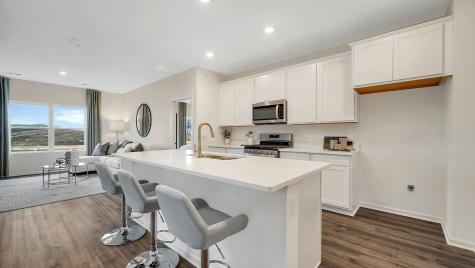 1160 Wood Lily Lane Bartlett IL 60103