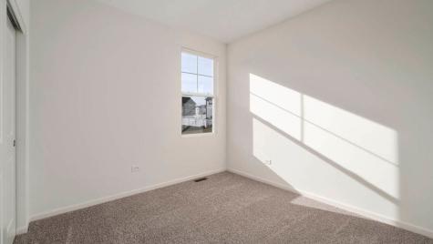 1243 Tiger Lily Drive Bartlett IL 60103