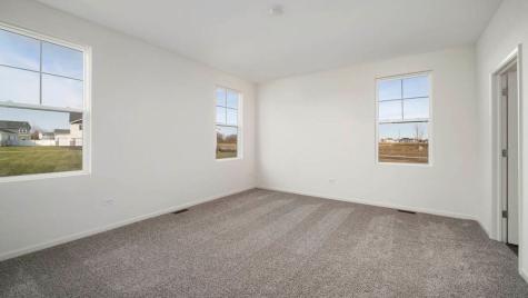 1243 Tiger Lily Drive Bartlett IL 60103