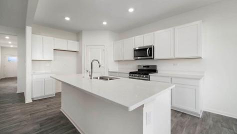 1243 Tiger Lily Drive Bartlett IL 60103