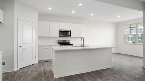 1243 Tiger Lily Drive Bartlett IL 60103