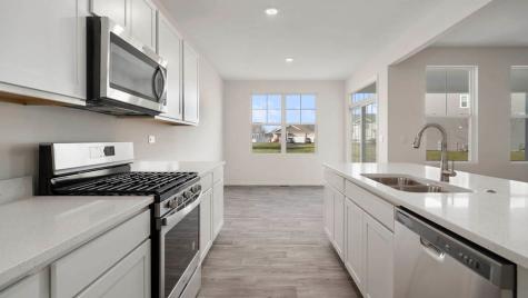 1243 Tiger Lily Drive Bartlett IL 60103