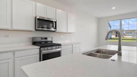 1243 Tiger Lily Drive Bartlett IL 60103