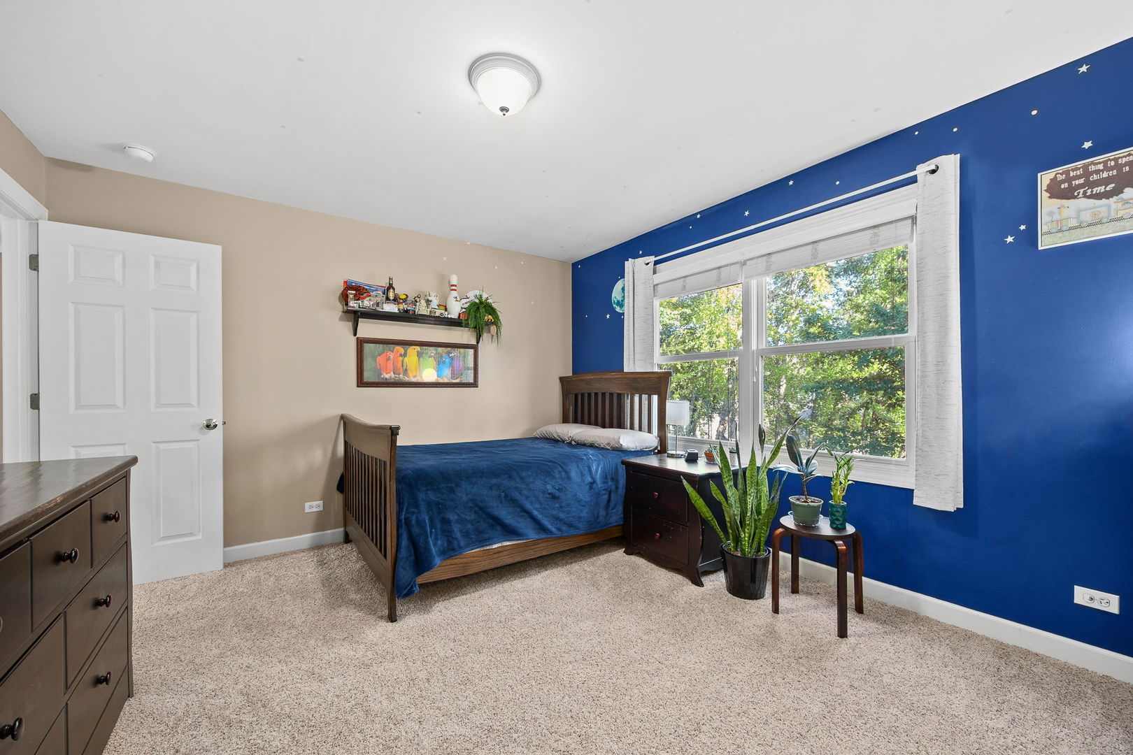2816 Cordgrass Road Naperville IL 60564