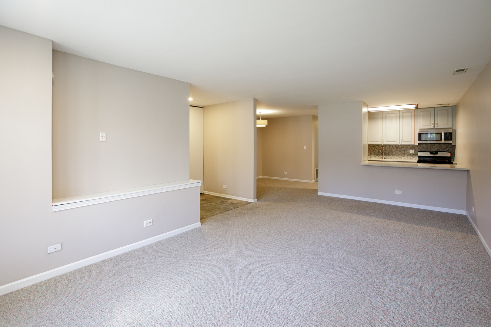828 South Bell Avenue Chicago IL 60612