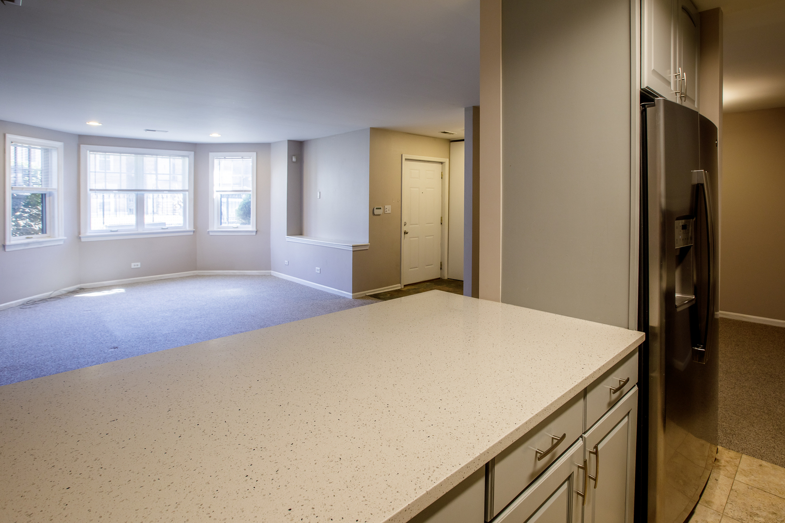 828 South Bell Avenue Chicago IL 60612