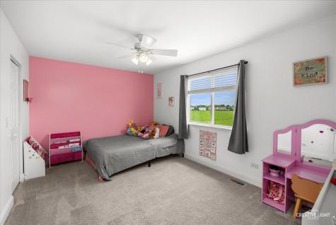 352 Coneflower Drive Minooka IL 60447