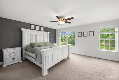 352 Coneflower Drive Minooka IL 60447