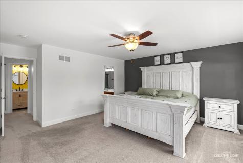 352 Coneflower Drive Minooka IL 60447