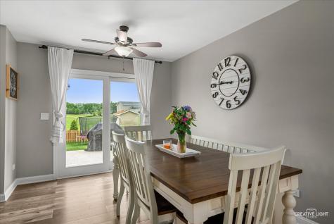 352 Coneflower Drive Minooka IL 60447