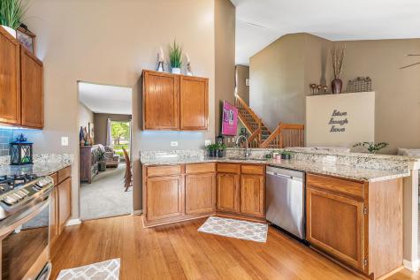 204 Dickens Trail Elgin IL 60120