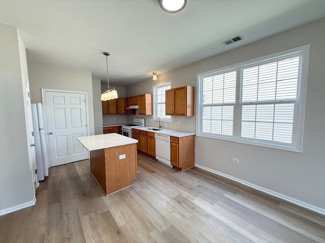 17113 Manitoba Street Lockport IL 60441