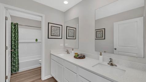 1234 Tiger Lily Drive Bartlett IL 60103