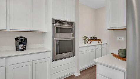 1234 Tiger Lily Drive Bartlett IL 60103