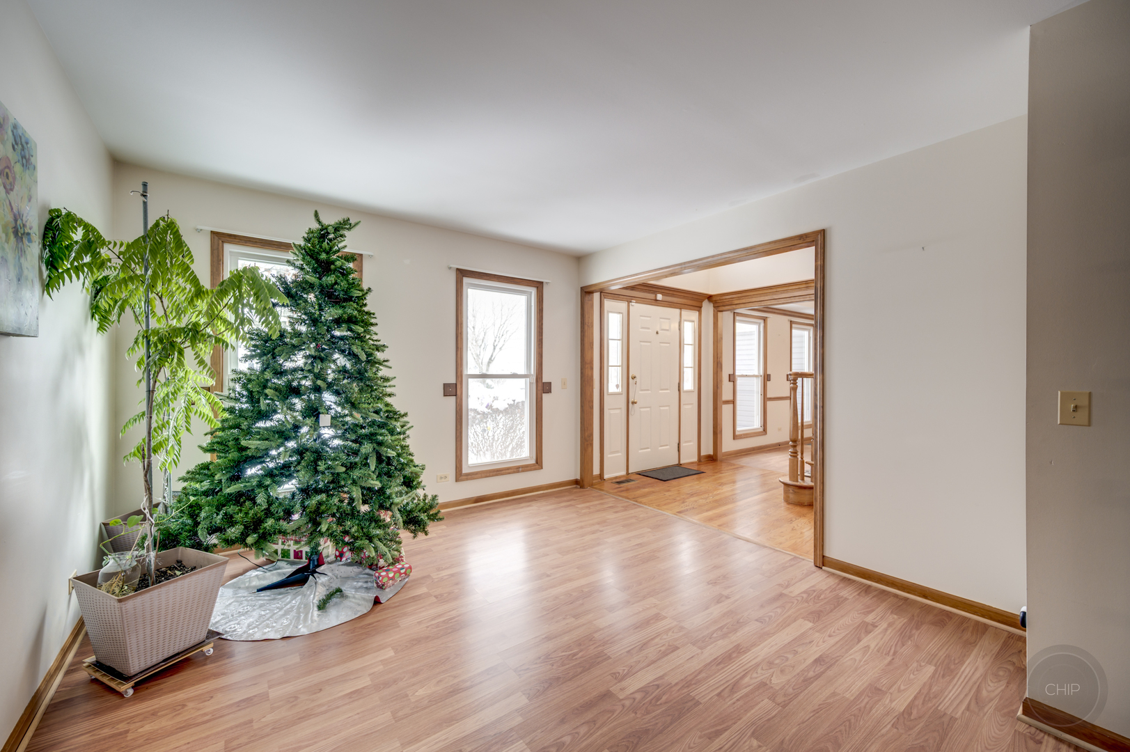 3479 Charlemaine Drive Aurora IL 60504