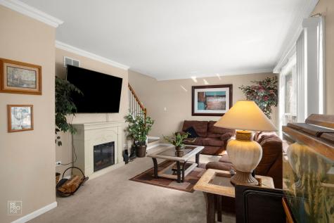14 Corinth Court Tinley Park IL 60477