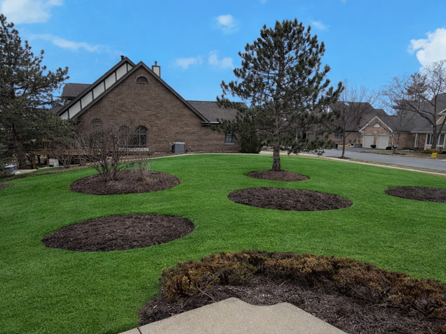 10709 Hollow Tree Road Orland Park IL 60462