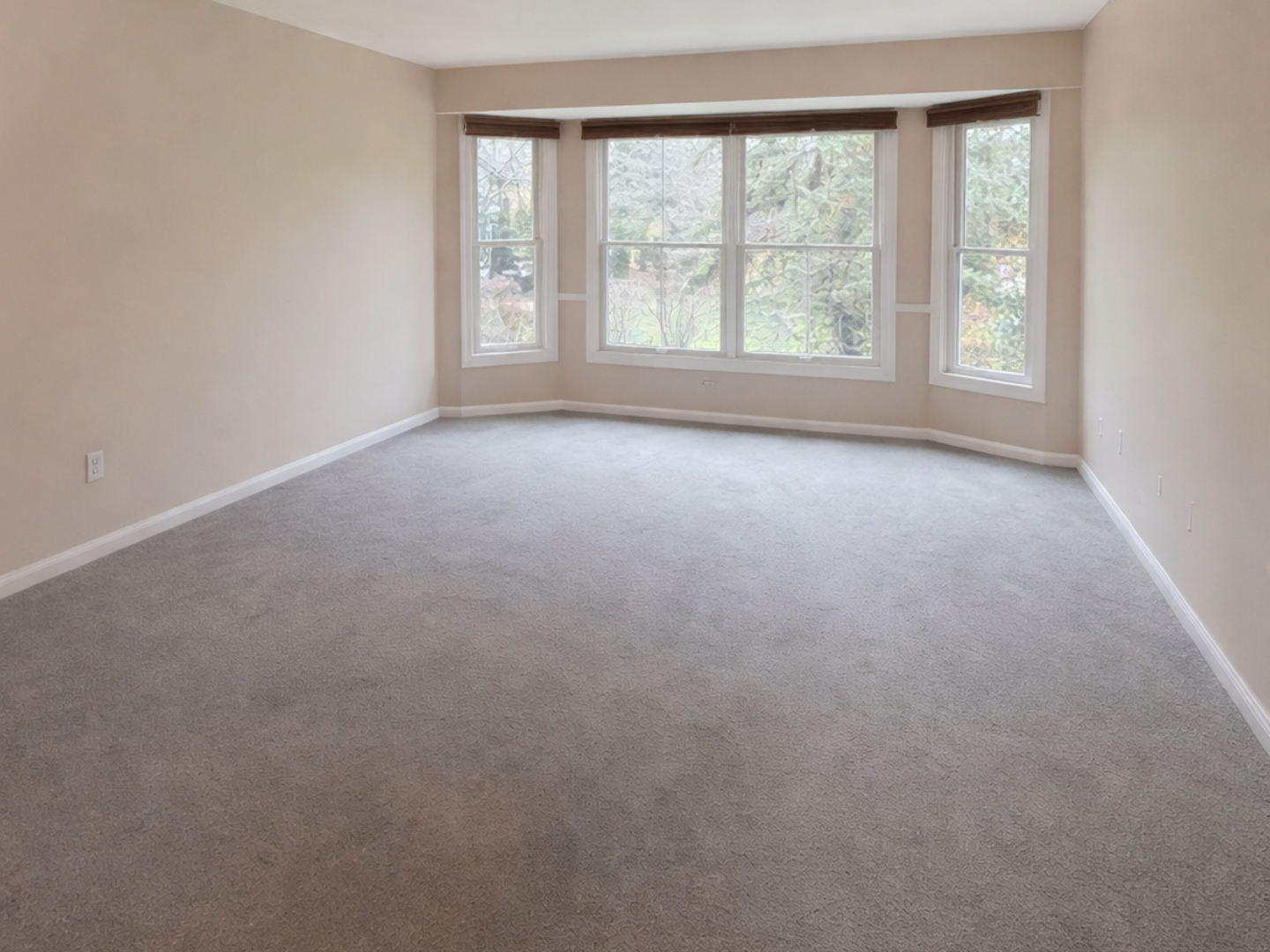 10709 Hollow Tree Road Orland Park IL 60462