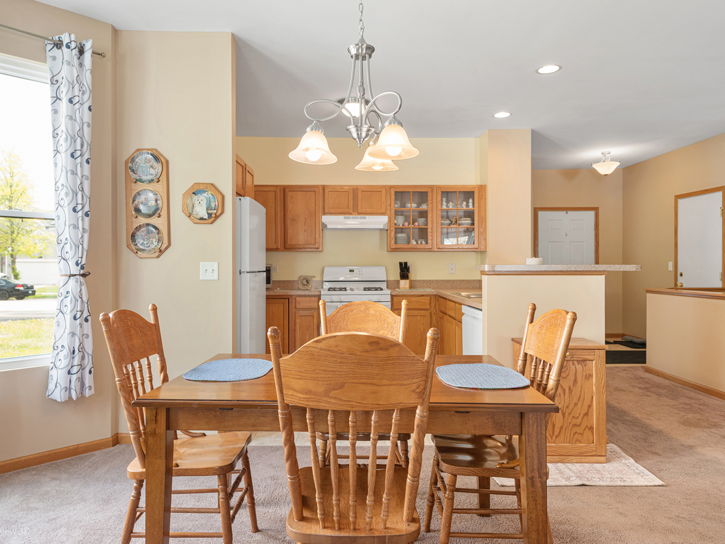 1307 Broadlawn Drive Plainfield IL 60586