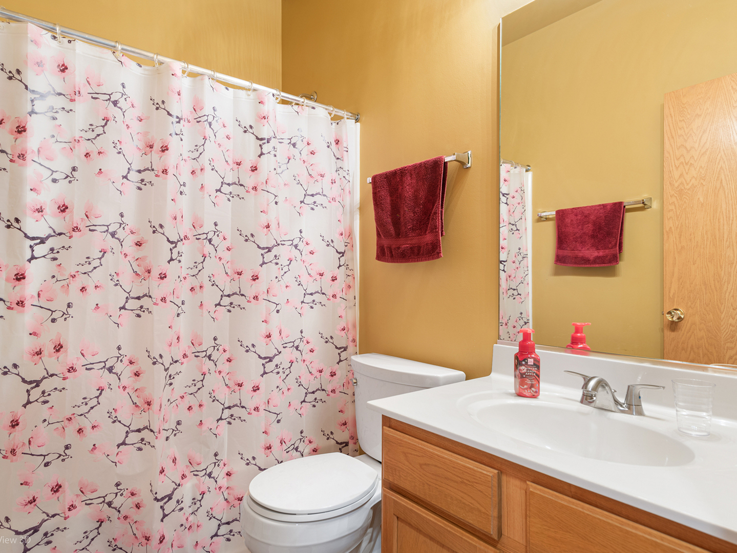 1307 Broadlawn Drive Plainfield IL 60586
