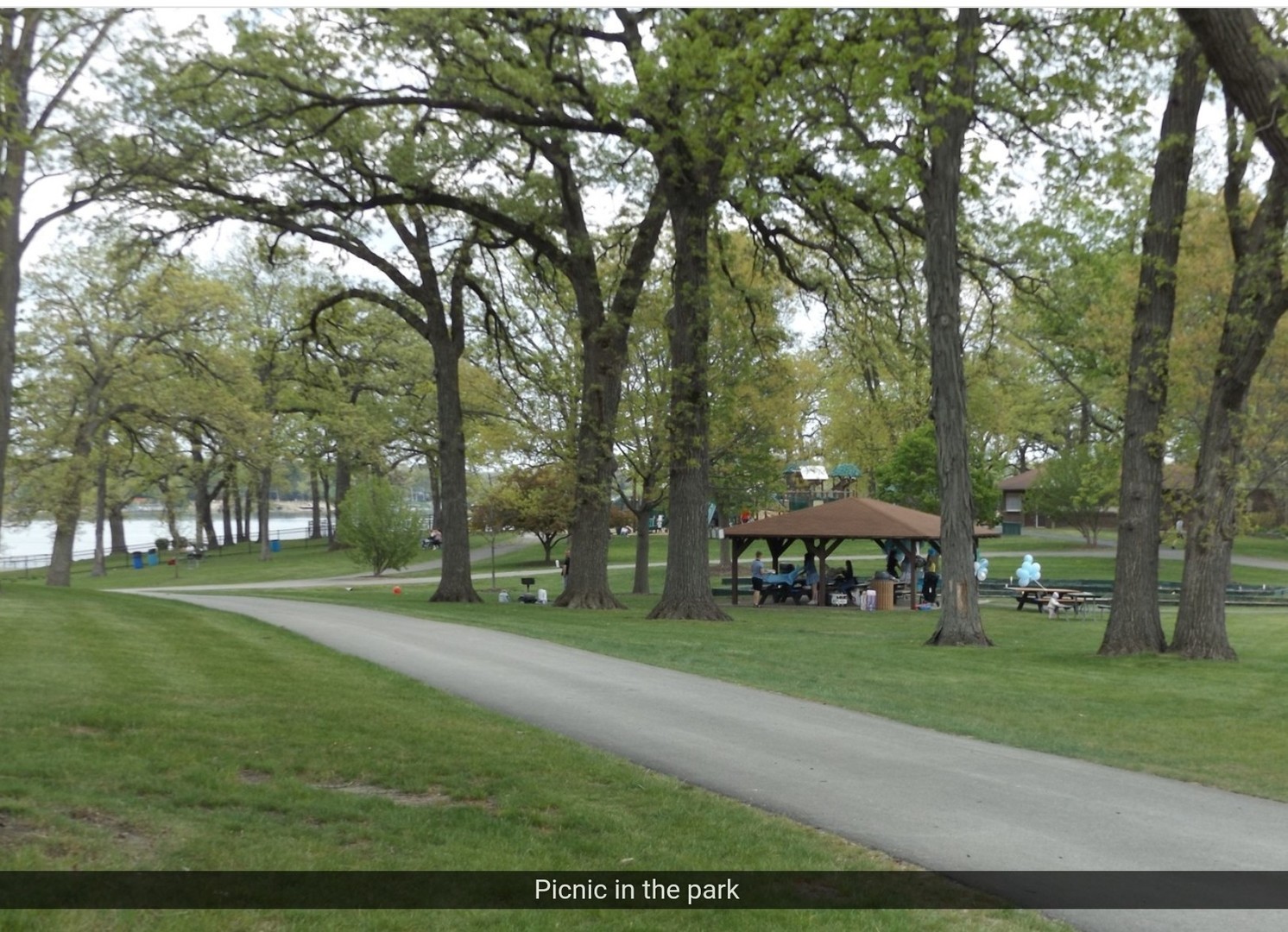 68 Beech Drive Lake Zurich IL 60047