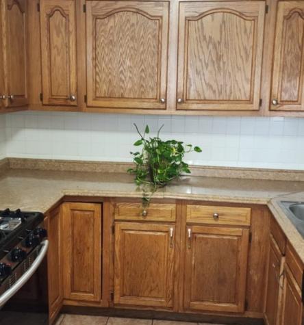 1366 Price Avenue Calumet City IL 60409