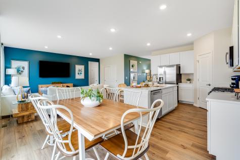 20936 South Auburn Drive Shorewood IL 60404