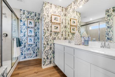 20936 South Auburn Drive Shorewood IL 60404