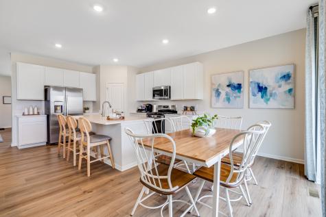 20936 South Auburn Drive Shorewood IL 60404