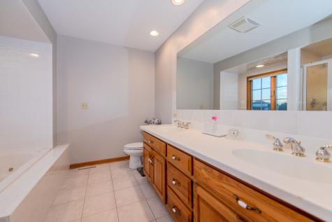 18816 South Chestnut Drive Shorewood IL 60404