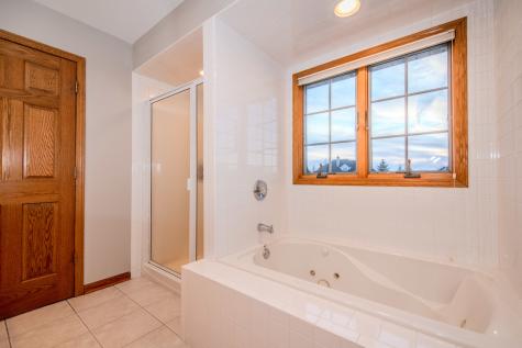 18816 South Chestnut Drive Shorewood IL 60404