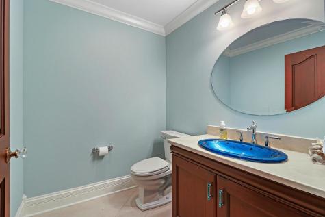 34 Abbey Woods Drive Barrington Hills IL 60010