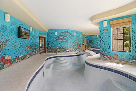 34 Abbey Woods Drive Barrington Hills IL 60010