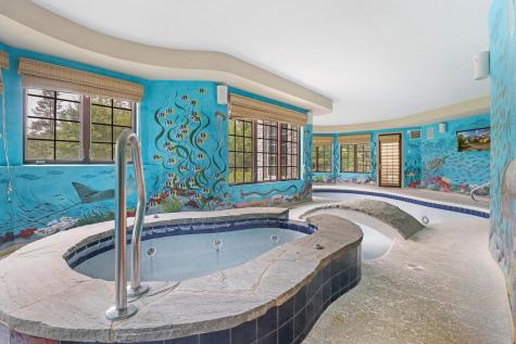 34 Abbey Woods Drive Barrington Hills IL 60010