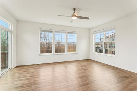 133 Stowe Court Fox Lake IL 60020