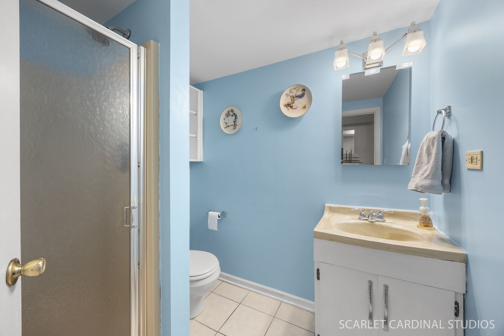 314 East Jefferson Avenue Wheaton IL 60187