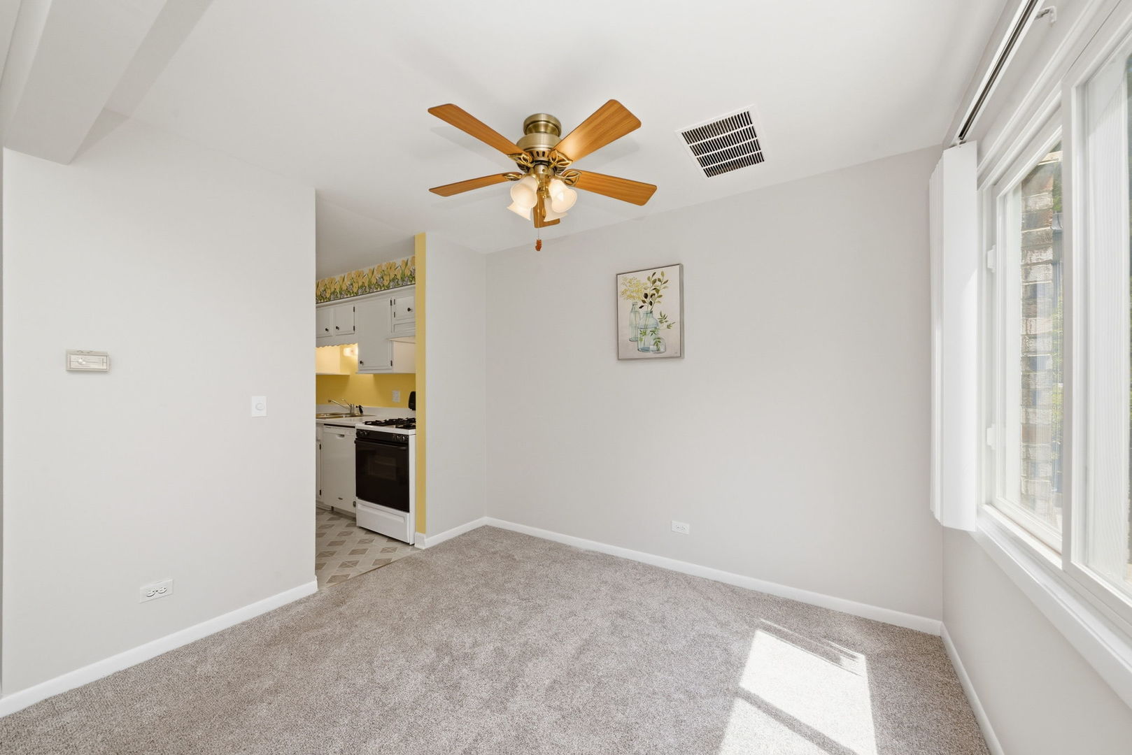 2630 Mitchell Drive Woodridge IL 60517