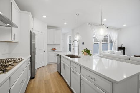 331 Didier Court Buffalo Grove IL 60089