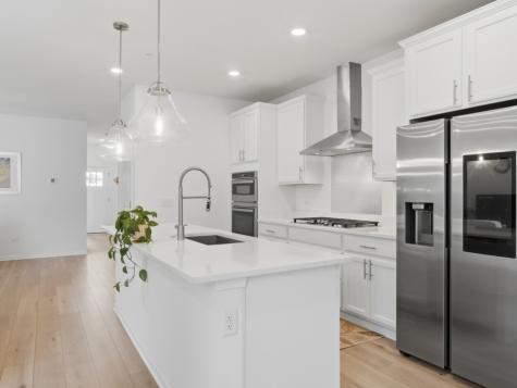 331 Didier Court Buffalo Grove IL 60089
