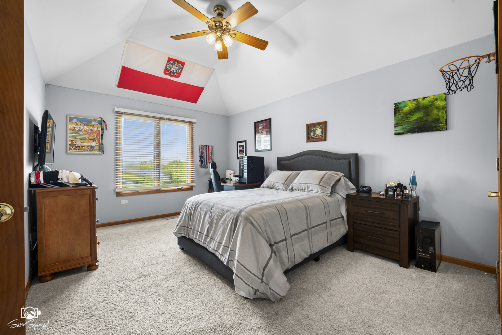 5915 Rosinweed Lane Naperville IL 60564