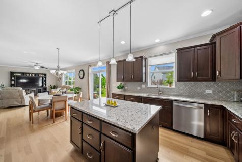 25305 Portage Court Plainfield IL 60544