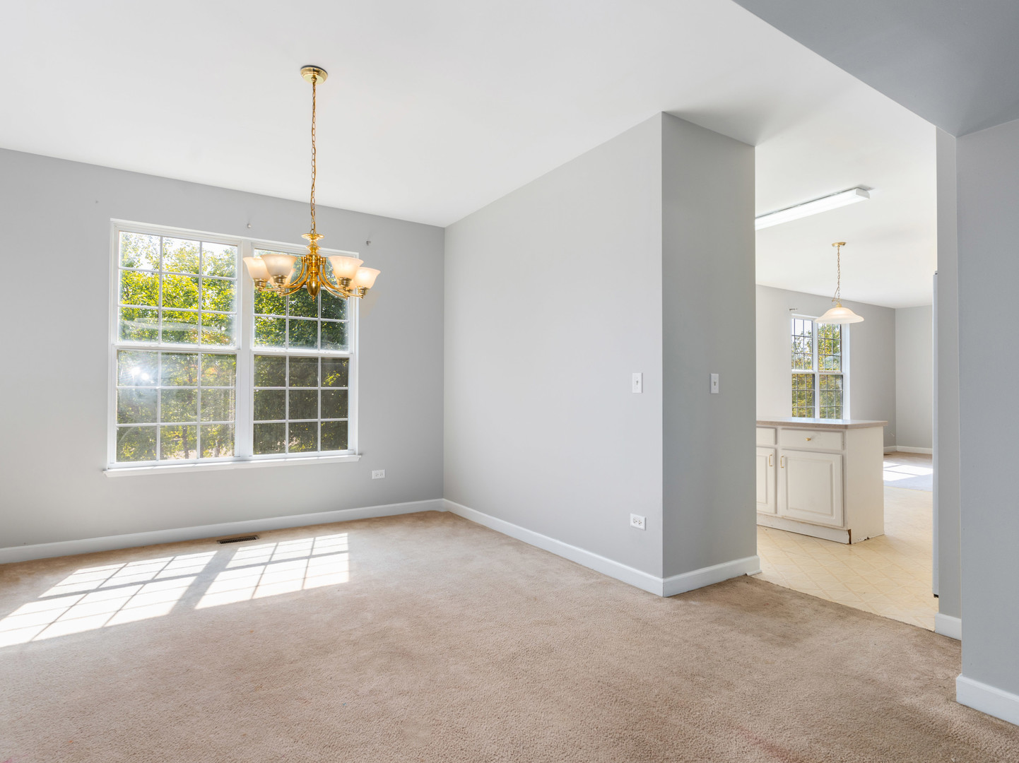 2 Ava Court Bolingbrook IL 60440